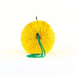 lemon1