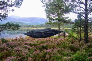 DD Camping Hammock Green