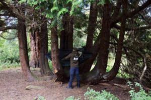 DD Hooded Sweater 03copy