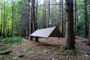 DD Tarp M Brown High Res 03e