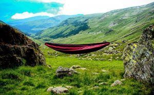 frontline maroon red 1