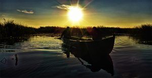 Hamac ieftin DD Frontline