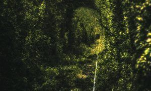 cu hamacul in tunelul dragostei