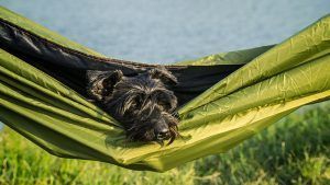 Hamac Pom-Pom Double layer cu hamacul 5 Hamac Pom Pom Double layer cu hamacul