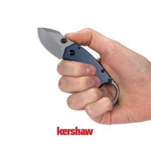 Briceag-Kershaw-Antic