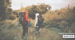 Front page banner Sawyer