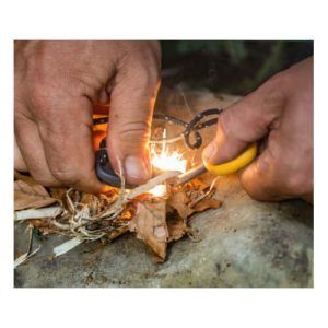 articole-supravietuire