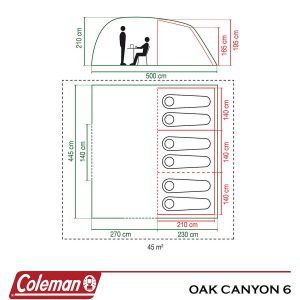 Cort Coleman Oak Canyon 6